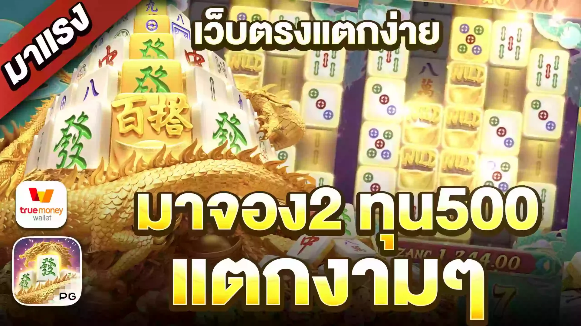 สล็อตpgเว็บตรง